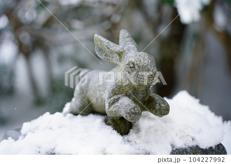 雪ウサギ 雪ウサギ 104227992