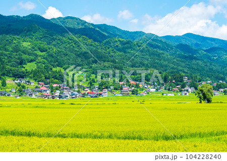 夏の田園風景（8月） 104228240