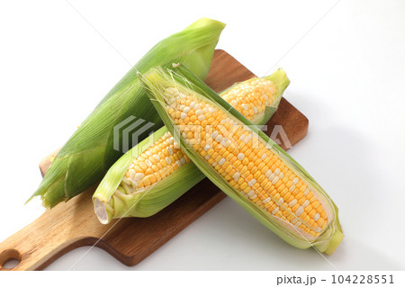 とうもろこし 104228551