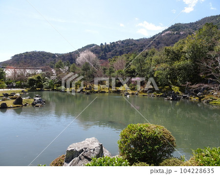 京都の桜をめぐる 天龍寺編 京都の桜をめぐる 天龍寺編 104228635