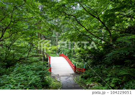 「出羽三山神社(羽黒山)の修験道」 in 山形県鶴岡市 「出羽三山神社(羽黒山)の修験道」 in 山形県鶴岡市 104229051