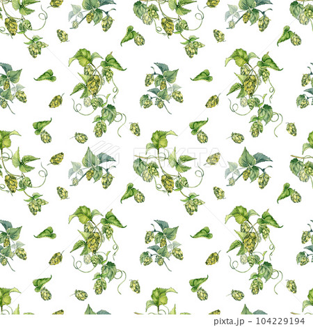Hop vine, plant humulus watercolor seamless pattern isolated on white background. Hop on brunch with leaves, hop cones hand drawn. Design element for wrapping, label, packaging, paper, textile 104229194