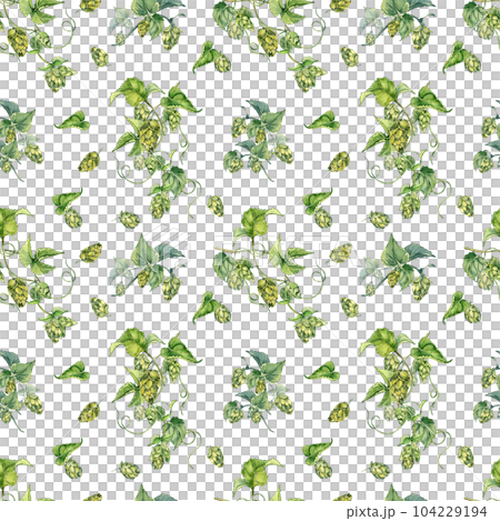 Hop vine, plant humulus watercolor seamless pattern isolated on white background. Hop on brunch with leaves, hop cones hand drawn. Design element for wrapping, label, packaging, paper, textile 104229194