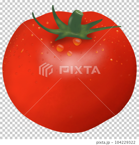 Tomato 3 104229322