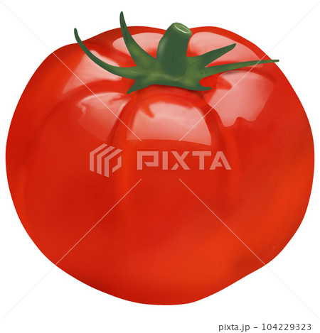 Tomato 4 Tomato 4 104229323