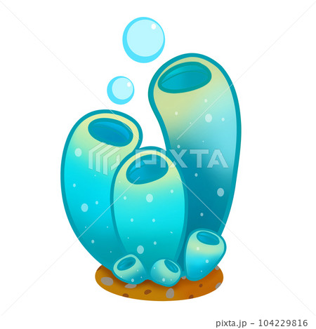 Coral 4 Coral 4 104229816
