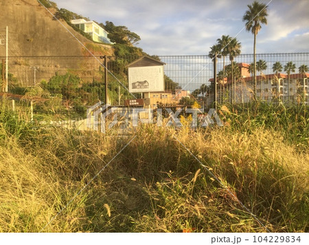逗子マリーナと正覚寺住吉城址 逗子マリーナと正覚寺住吉城址 104229834