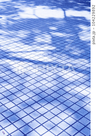 朝の木陰 朝の木陰 104229892