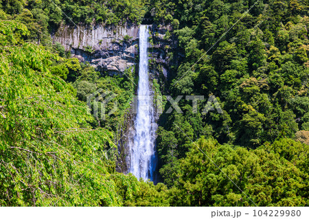 世界遺産那智の滝 和歌山県那智勝浦町那智山 世界遺産那智の滝 和歌山県那智勝浦町那智山 104229980