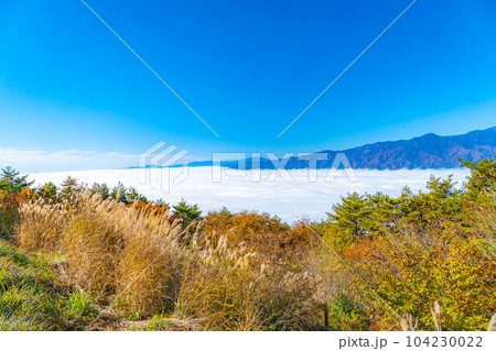 【雲海素材】秋の陣馬形山から眺める伊那谷の雲海【長野県】 104230022