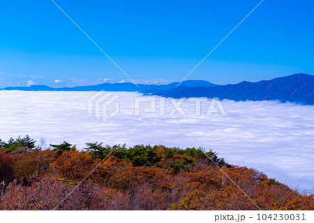 【雲海素材】秋の陣馬形山から眺める伊那谷の雲海【長野県】 【雲海素材】秋の陣馬形山から眺める伊那谷の雲海【長野県】 104230031