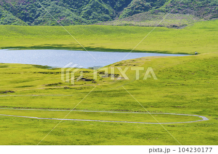 【熊本県】雄大な阿蘇カルデラの草千里ヶ浜 【熊本県】雄大な阿蘇カルデラの草千里ヶ浜 104230177