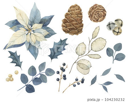 Watercolor Christmas vintage floral illustration with blue berries, poinsettia pine cones lunaria holy. Botanical watercolor illustration invitation design Watercolor Christmas vintage floral illustration with blue berries, poinsettia pine cones lunaria holy. Botanical watercolor illustration invitation design 104230232