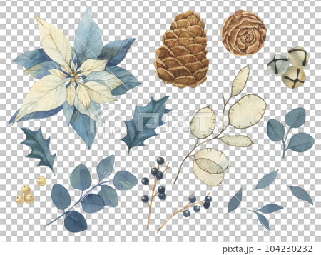 Watercolor Christmas vintage floral illustration with blue berries, poinsettia pine cones lunaria holy. Botanical watercolor illustration invitation design Watercolor Christmas vintage floral illustration with blue berries, poinsettia pine cones lunaria holy. Botanical watercolor illustration invitation design 104230232