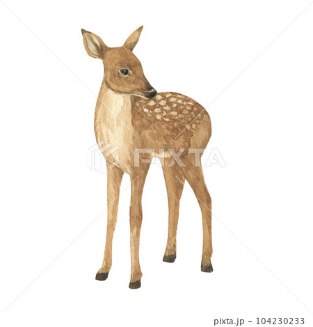 Watercolor Christmas deer illustration. Hand drawn fawn clipart. Watercolor illustration invitation design Watercolor Christmas deer illustration. Hand drawn fawn clipart. Watercolor illustration invitation design 104230233