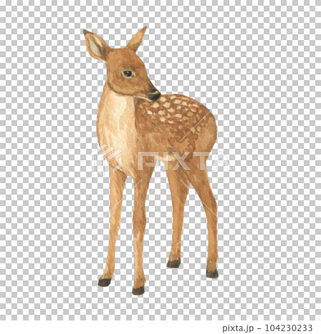 Watercolor Christmas deer illustration. Hand drawn fawn clipart. Watercolor illustration invitation design Watercolor Christmas deer illustration. Hand drawn fawn clipart. Watercolor illustration invitation design 104230233