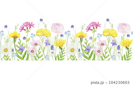Hand drawn watercolor seamless border with watercolor wild herbs and flowers. Hand drawn watercolor seamless border with watercolor wild herbs and flowers. 104230603