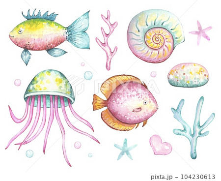 Sea set with a fish , algae, jellyfish, shells,  watercolor 104230613