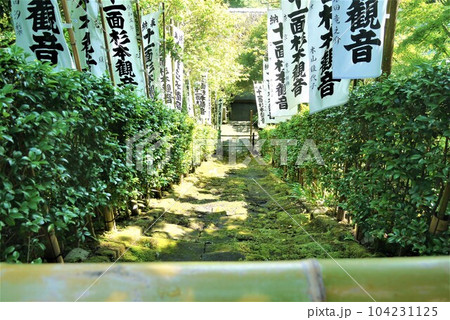 古都鎌倉と言えば長谷寺、国宝鎌倉大仏そして鎌倉最古の杉本寺 104231125