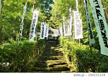 古都鎌倉と言えば長谷寺、国宝鎌倉大仏そして鎌倉最古の杉本寺 104231128