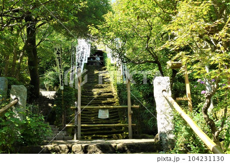 古都鎌倉と言えば長谷寺、国宝鎌倉大仏そして鎌倉最古の杉本寺 古都鎌倉と言えば長谷寺、国宝鎌倉大仏そして鎌倉最古の杉本寺 104231130