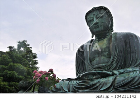 古都鎌倉と言えば長谷寺、国宝鎌倉大仏そして鎌倉最古の杉本寺 104231142