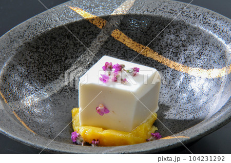 和食の一品料理 豆腐料理 和食の一品料理 豆腐料理 104231292