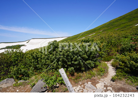 這松の登山道 這松の登山道 104232243
