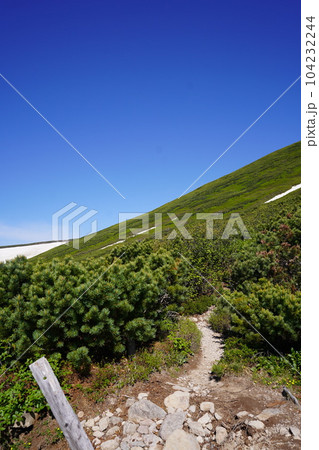 這松の登山道 這松の登山道 104232244