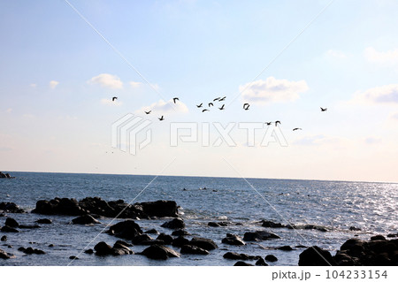 It is a beautiful scenery of the west coast of Jeju Island, a famous tourist destination in South Korea. 104233154