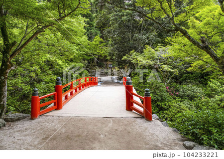 安芸の宮島、紅葉谷公園 104233221