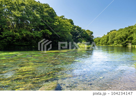 静岡県の駿東郡清水町を流れる清流で有名な柿田川と富士山 静岡県の駿東郡清水町を流れる清流で有名な柿田川と富士山 104234147