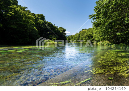 静岡県の駿東郡清水町を流れる清流で有名な柿田川と富士山 静岡県の駿東郡清水町を流れる清流で有名な柿田川と富士山 104234149