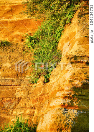 （千葉県銚子市）屛風ヶ浦・崖のユリ　夕景 104234753