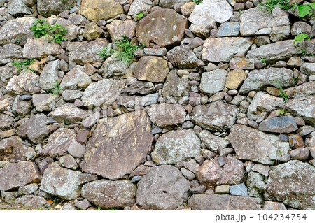 黒田官兵衛普請の石垣　姫路城 104234754