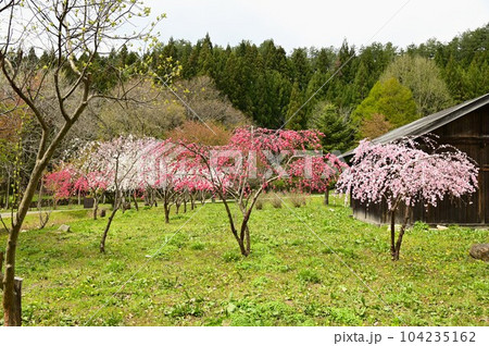 日本の原風景 遠野ふるさと村 日本の原風景 遠野ふるさと村 104235162