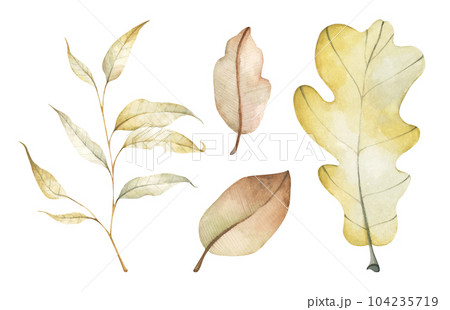 Set of multicolored fallen autumn leaves. Watercolor illustration. 104235719
