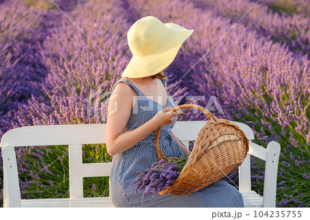 Female donning a straw hat and sundress sits on the bench nestled within a vibrant lavender field, holding a basket with flowers.  104235755