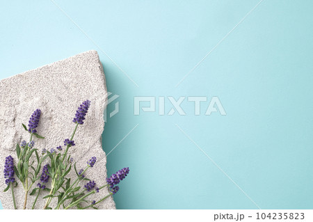 Blooming lavender placed on gray block of stone on pastel background. Minimal scene for advertising, display product and space for text. Lavender may also provide support for people with anxiety Blooming lavender placed on gray block of stone on pastel background. Minimal scene for advertising, display product and space for text. Lavender may also provide support for people with anxiety 104235823