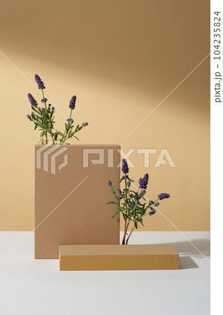 Minimal abstract background for cosmetic product presentation with fresh flower. Rectangular podiums decorated with blooming lavender on brown background. Front view Minimal abstract background for cosmetic product presentation with fresh flower. Rectangular podiums decorated with blooming lavender on brown background. Front view 104235824