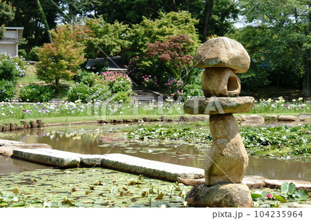 石灯籠と睡蓮池 石灯籠と睡蓮池 104235964