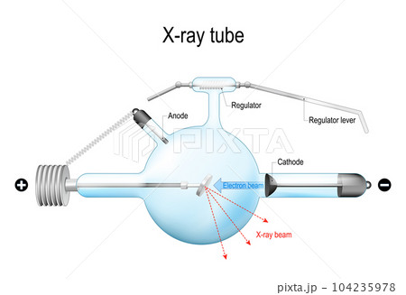 Crookes X-ray tube.  Realistic vector illustration. 104235978