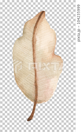 Watercolor painting of autumn leaf. Watercolor painting of autumn leaf. 104235999