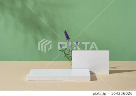 Against green background, two white podiums displayed with few lavender flowers. Stage showcase on minimal podium to show cosmetic product extracted from Lavender (Lavandula)  104236026
