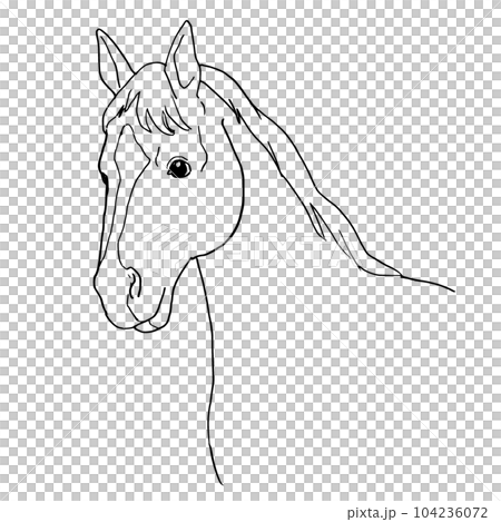 線画イラスト 手描き 馬のイラスト素材 [104236072] - PIXTA