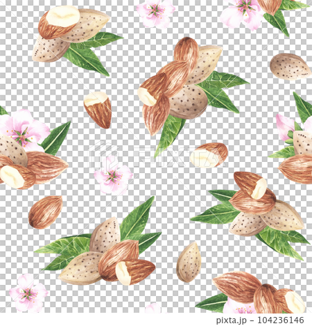 Seamless almonds and flowers pattern. Nuts textile pattern. Flowering almonds. Hand drawn watercolor illustration of nuts on white background, For textile, fabric, wrapping paper. 104236146