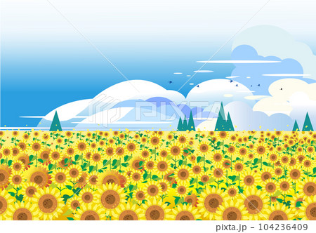 夏の雲が広がるひまわり畑 104236409