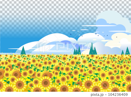 Sunflower field with summer clouds 104236409
