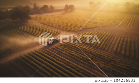 農場と夕暮れ時の上空　AI生成画像 Agricultural farm field 104236933