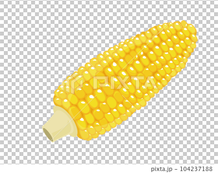 Corn vegetables icon illustration material vector Corn vegetables icon illustration material vector 104237188